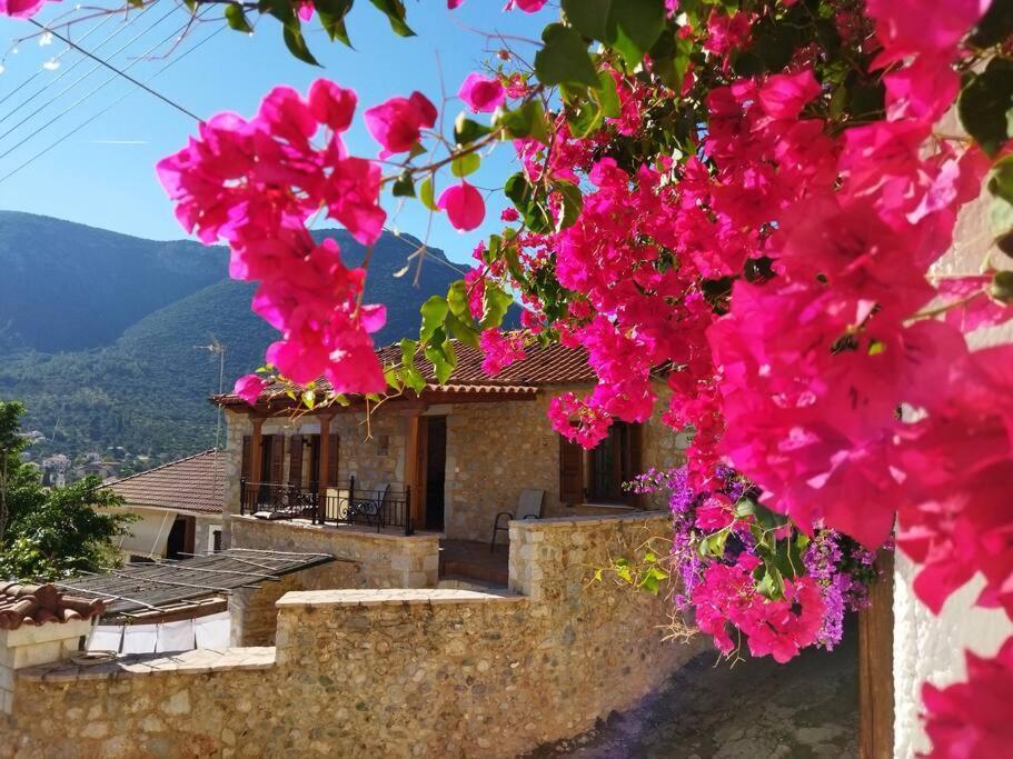 Tsolakis Luxury House Villa Leonídion Exterior photo